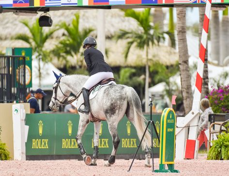 Show Jumping Wallpaper, Show Jumper Aesthetic, Equestrian Show Jumping, English Horse Show Aesthetic, Wef Horse Show, Horse Walking, Winter Equestrian, Winter Equestrian Festival, Future Aspirations