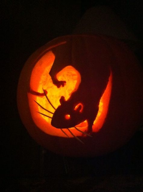 Rat Halloween Pumpkin Carving by Ruth Hage Opossum Pumpkin Carving, Bug Pumpkin Carving, Possum Pumpkin Carving, Fantastic Mr Fox Pumpkin Carving, Punk Pumpkin Carving, Mothman Pumpkin Carving, Scary Carved Pumpkins, Pumpkin Carving Ideas Animals, Pumpkin Carving Creepy