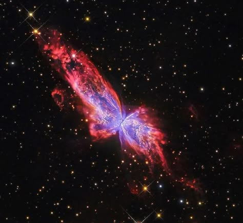 Butterfly Nebula, Space Core, Planetary Nebula, Mars Space, Astronomy Poster, Astronomy Pictures, Galaxy Eyes, About Earth, Astronomy Lover