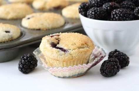 Lemon Ricotta Blackberry Muffins Blackberry Ricotta, Lemon Ricotta Muffins, Blackberry Muffin Recipe, Ricotta Muffins, Blackberry Muffins, Blackberry Muffin, Lemon Ricotta, What's For Breakfast, Muffin Recipe