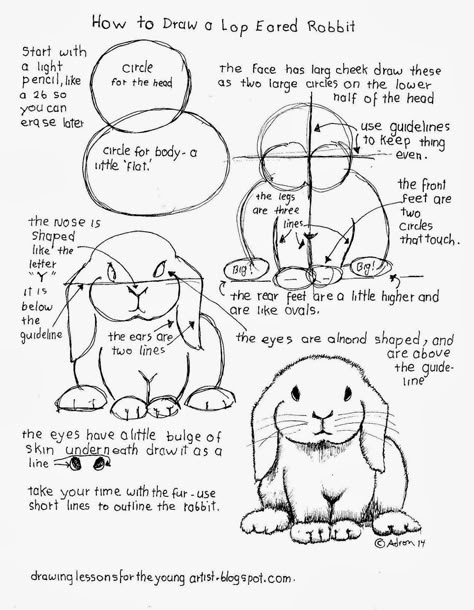 How To Draw A Lop Eared Rabbit Free Worksheet Lop Eared Rabbit, Imaginary Creatures, Woodburning Art, Rabbit Drawing, Drawing Hair, Bunny Drawing, Basic Drawing, Rabbit Art, Bunny Art