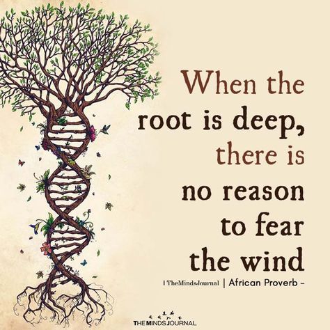 When The Root Is Deep - https://themindsjournal.com/when-the-root-is-deep/ Roots Quotes, Tree Of Life Quotes, Sanskrit Symbols, African Quotes, Tree Quotes, African Proverb, Proverbs Quotes, Strong Family, Family Roots