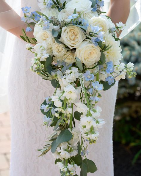 Bouquet by Amber at Amberworks floral designs Wedding Bouquet Forget Me Nots, Blue White Green Wedding Bouquet, Bridal Bouquet Spring Blue, White Cascading Bridal Bouquet, Blue Cascading Bouquet, Cascading Bouquet White, Cascade Wedding Bouquet Blue And White, Blue Cascade Bouquet, Backless Mermaid Wedding Dresses