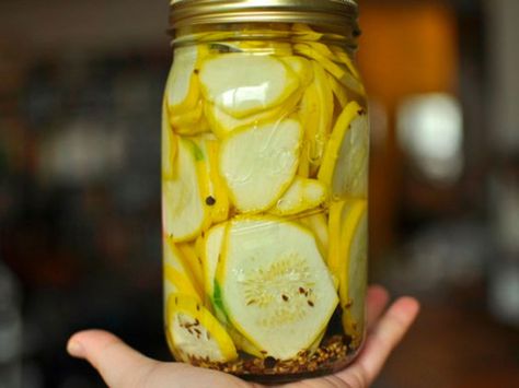 Squash Sandwich, Pickled Squash, Squash Pickles, Easy Pickles, Fridge Pickles, Sandwich Pickles, Summer Squash Recipes, Squash Zucchini, Pickling Salt