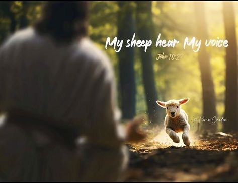 Lamb Images, My Sheep Hear My Voice, Lost Lamb, Inspiration Sayings, Jesus Love Images, Pictures Of Christ, Jesus Christ Artwork, Bible Images, Bible Illustrations