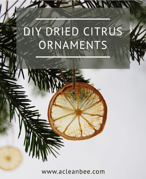 Dried Citrus DIY Christmas Ornaments Dried Citrus Ornaments Diy, Dried Orange Ornaments, Dried Citrus, Orange Ornaments, Dehydrated Fruit, Fake Trees, Eco Friendly Christmas, Dried Oranges, Sustainable Gifts