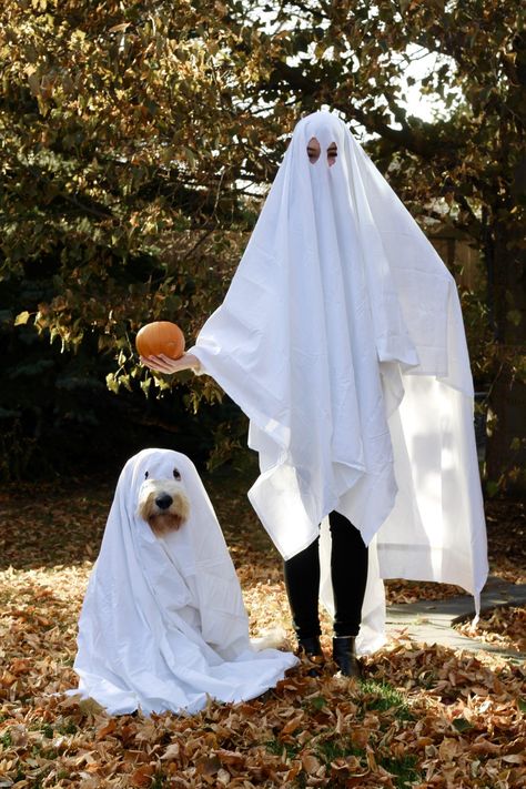 White Ghost Costume, Dog Ghost Costume, Cute Dog Halloween Costumes, Ghost Cosplay, Best Dog Halloween Costumes, Costume For Dogs, Halloween Puppy, Ghost Halloween Costume, Cosplay Clothes