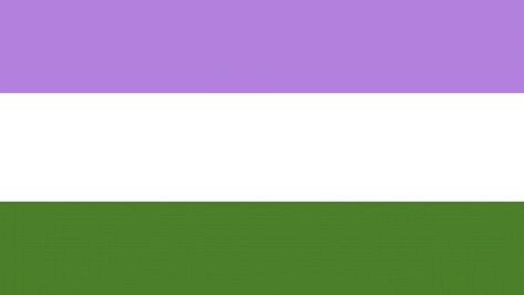 Genderqueer Flag, Straight Ally Flag, Queer Pride Flag, Gender Neutral Pronouns, Nonbinary Flag, Nonbinary People, Gender Flags, Bisexual Flag, Lgbtq Flags