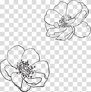 Line Art Transparent Background, Flower Line Art Png, Transparent Png Coloring Page, Tattoo Japanese Dragon, Dragon Tattoo Japanese, Japanese Dragon Drawing, Dandelion Drawing, Flower Bouquet Drawing, Rose Line Art