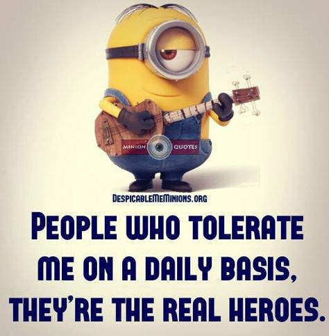 Thank you for tolerated me! Minions Love, A Minion, Wit And Wisdom, Minion Quotes, Minions Quotes, Real Hero, Minions Funny, Despicable Me, You Funny