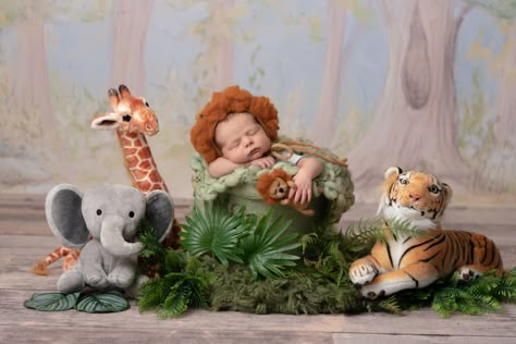 Newborn Jungle Photoshoot, Lion Newborn Photoshoot, Jungle Theme Newborn Photoshoot, Jungle Newborn Photography, Lion King Newborn Pictures, Safari Newborn Photoshoot, Lion Newborn Photography, Safari Newborn Photography, Newborn Themed Photoshoot