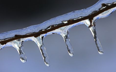 What's the Difference Between Snow, Sleet, and Freezing Rain? | Wonderopolis Hate Winter, Freezing Rain, Ice Storm, 21st Century Learning, Snow Rain, Weather And Climate, Snowy Day, Homework Help, Water Droplets