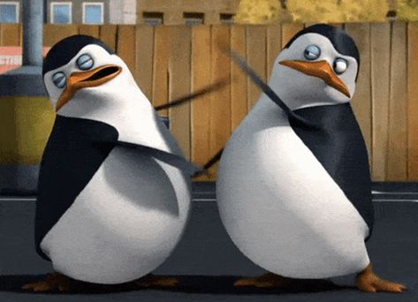 Penguins Pingki Penguin GIF – Penguins Penguin Pingki penguin – discover and share GIFs Madagascar Penguins Funny, Winken Gif, Penguin Gif, Cinemagraph Gif, Funny Face Gif, Animiertes Gif, Funny Short Video Clips, Penguins Of Madagascar