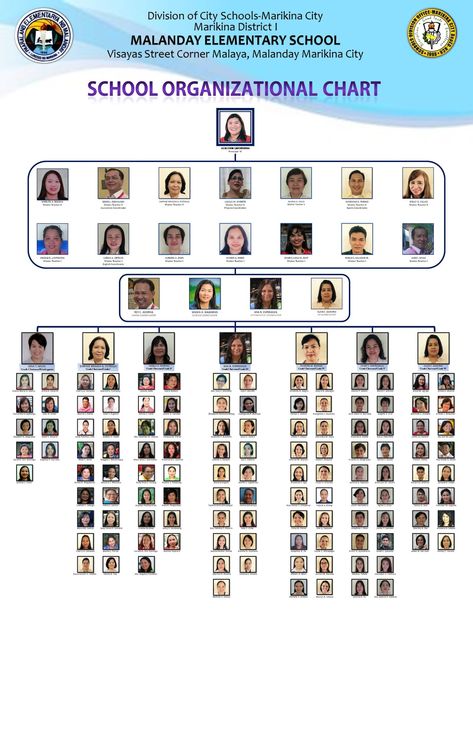 Malanday Elementary School - Organizational Chart Elementry School, Organizational Chart Design, College Notes Organization, Chart School, Organize Motivation, Organization Chart, New School Aesthetic, Org Chart, College Notes