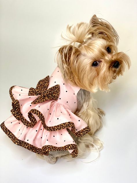 Dogs Dress, Dog Clothes Patterns Sewing, Dog Dress Pattern, Girl Dog Clothes, Small Dog Dresses, Crochet Dog Clothes, Dog Print Tattoo, Dog Outfits, Puppy Costume