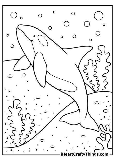 Unicorn Pokemon, Whale Coloring, Mandala Animals, Animals Disney, Easter Animals, Whale Coloring Pages, Ocean Coloring Pages, Shark Coloring Pages, Disney Dragon