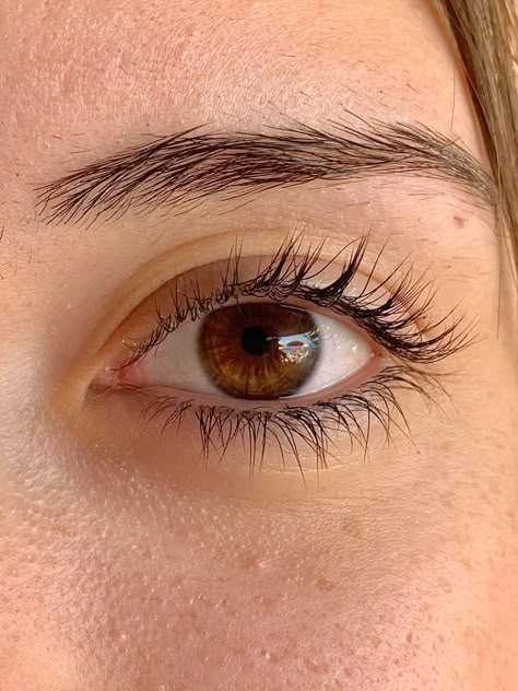 Russet Brown Eyes, Pretty Eyes Aesthetic, Human Pose Reference, Hazel Brown Eyes, Light Brown Eyes, Eye References, Women Eyes, Eye Reference, Eye Anatomy