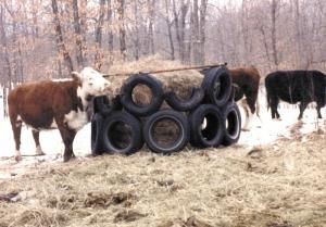 Round Bale Feeder, Hay Feeder For Horses, Cattle Feeder, Shop Hacks, Farming Tips, Horse Feeder, Livestock Barn, Farm Hacks, Barn Hacks