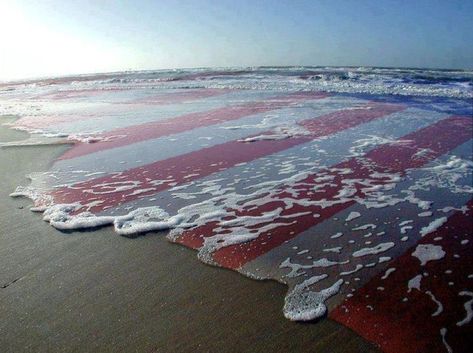 From Sea To Shining Sea, Happy Birthday America, Sea To Shining Sea, Home Of The Brave, Happy Memorial Day, Land Of The Free, Beach Scene, Happy 4 Of July, God Bless America