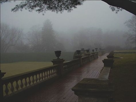 Old Westbury Gardens, Westbury Gardens, Old Westbury, Dark Academia Aesthetic, Academia Aesthetic, Pretty Places, Long Island, Dark Academia, Dark Aesthetic