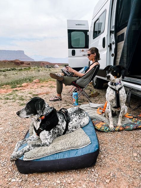 It is important to understand basic campground etiquette for dogs (and their owners) before you head out on your next RV trip. Keeping these simple rules and tips in mind will help ensure everyone in the campground stays safe and happy!🐕 ⁠ Camping Dogs, Dog Food Bowl Stand, Rv Dog, Rv Pet, Camping With Dogs, Camping Dog, Pet Camping, Rv Dreams, Rv Trip