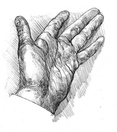 how-to-draw-with-pen-hands-05 Pen Drawing On Hand, Drawing On Hand Ideas, Drawing On Hand, Ballpen Drawing, Drawing With Pen, Hand Ideas, Fountain Pen Drawing, Ink Drawing Techniques, Art Of Drawing