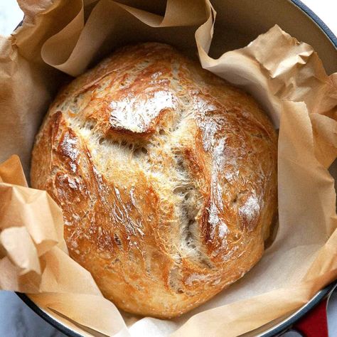 Foodtasia No Knead Bread Recipe, Homemade Bread Recipe, Oven Bread, Sourdough Recipe, Dutch Oven Bread, Knead Bread Recipe, Artisan Bread Recipes, Yeast Bread Recipes, Knead Bread