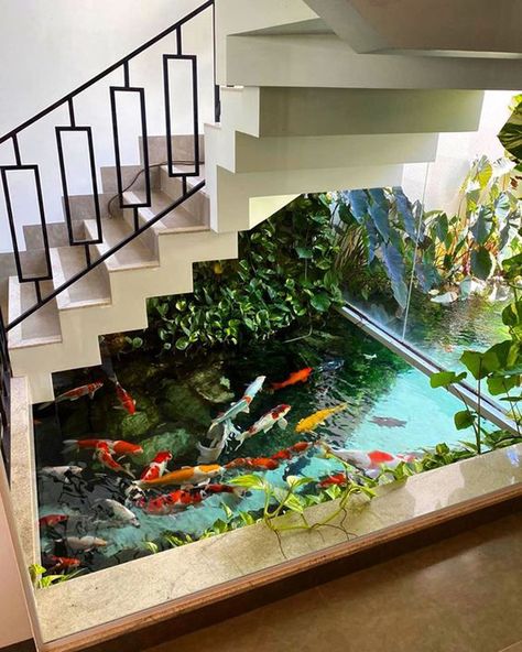 25 Minimalist Koi Pond Ideas For Your House | HomeMydesign Fish Pond Inside House, Pond Inside House, Indoor Koi Pond, Koi Pond Ideas, Koi Pond Design, Indoor Pond, Water Wall Fountain, Amazing Aquariums, Outdoor Ponds