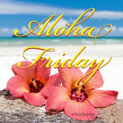 Aloha Friday Quotes, Polynesian Beauty, Happy Aloha Friday, Aloha Vibes, Good Morning Happy Friday, Friday Quotes Funny, Aloha Friday, Friday Quotes, Today's Quote