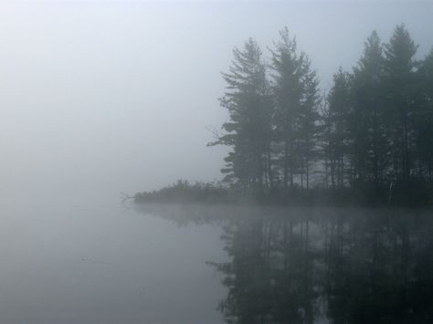 Foggy Lake Wallpaper Foggy Lake, Foggy Weather, Oil Painting Inspiration, Different Kinds Of Art, Water Aesthetic, Bump Photos, Location Inspiration, Loch Ness Monster, Foggy Forest