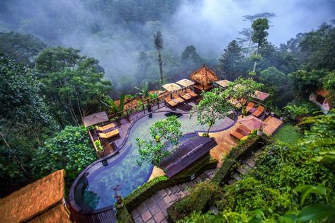 The best forest and jungle hotels and resorts Bali Jungle Villa, Bali Jungle, Ubud Villas, Forest Resort, Bali Tour, Bali Villas, Hotel Bali, Jungle Resort, Spa Luxury