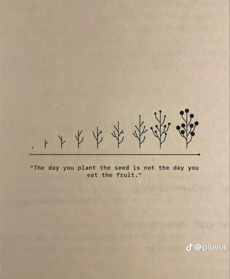 Learning To Grow Quotes, Planting The Seed Quote, Planting Seeds Quotes Inspiration, Plant Seeds Quotes, I Am Growing Quotes, Plant Growth Quotes, The Day You Plant The Seed Quote, Grow Where You Are Planted, Plant The Seed Quote