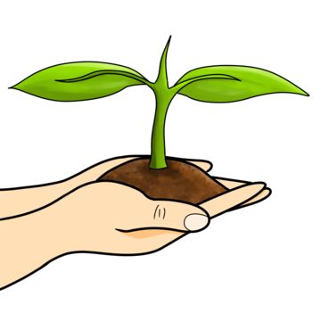 hand holding plant,plant,watercolor plant,hand,plant tree,holding,hands,cartoon,earth,save the earth,go green,green earth,environment day,environmental protection,protect the environment,protect the earth,tree,holding soil,holding plant,hand holding,green plants,one million tree movement day,movement of one million trees,growing,nature,soil,growth,grow,leaf,plants,natural,leaves,plants and trees,leaves of green plants,cute,organic,watercolor Hands Holding Plant, Holding Hands Cartoon, Hand Holding Drawing, Holding Drawing, Plants Cartoon, Hands Cartoon, Cartoon Earth, Plants Cute, Plant Clipart