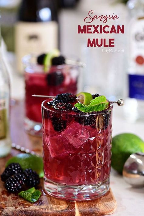 Mexican Mule Recipe, Mexican Mule, Sangria Cocktail, Mule Cocktail, Mule Recipe, Mexican Drinks, Cocktail Sauce, Boozy Drinks, Fancy Drinks