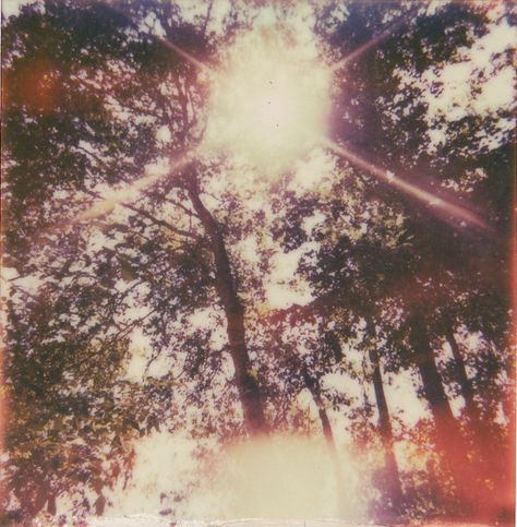 Flaming Stairway ☾ Sunny Day, In The Woods, Pretty Pictures, Film Photography, Aesthetic Pictures, We Heart It, Vision Board, The Sun, Trees