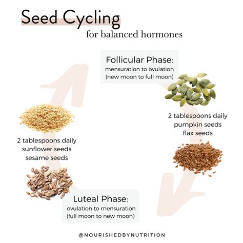 Seed Cycling for Hormone Balance | Nourished By Nutrition Seed Cycle, Hormone Diet, Seed Cycling, Low Estrogen Symptoms, Balance Hormones Naturally, How To Regulate Hormones, Low Estrogen, Balance Hormones, Fertility Boost