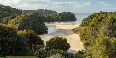 Stewart Island Has Ancient Rainforests, Rare Wildlife, and Stunning Southern Lights Views | Travel + Leisure Travel Wisdom, Southern Lights, Aurora Australis, Beautiful Night Sky, Dream Vacations Destinations, See The Northern Lights, Remote Island, Nature Sounds, New Zealand Travel