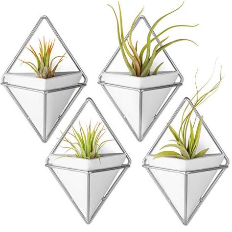 Hanging Wall Planters, Vase Holder, Plant Wall Decor, Hanging Plant Wall, Triangle Wall, Small Succulents, Air Plant Holder, Decorative Planters, Metal Hangers