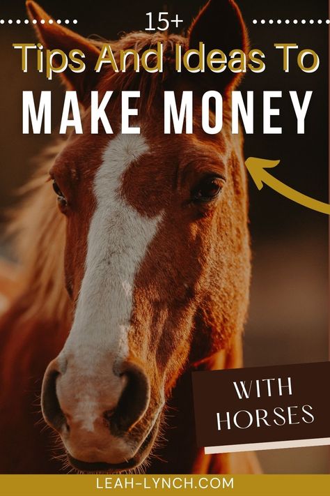 Working With Horses, Horse Jobs, Horse Buisness Ideas, Horse Business Ideas, Equine Business Ideas, Buying A Horse Tips, Cost Of Owning A Horse, Jobs That Involve Horses, How To Lunge A Horse