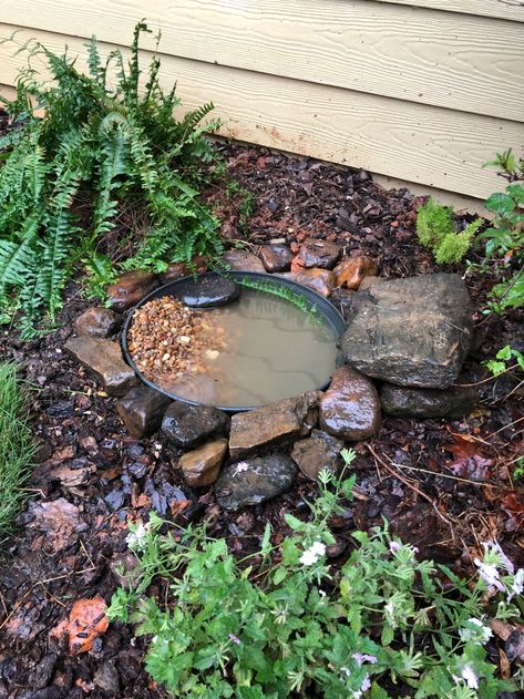 Toad Pond, Herbs Growing, Toad House, Habitat Garden, Garden Frogs, Grow Food, Bee Garden, Wildlife Gardening, Garden Pond