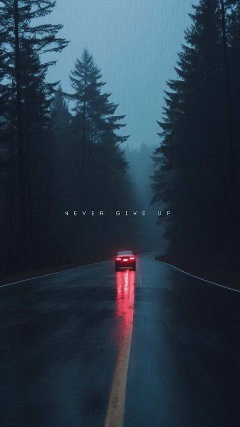 Never Give Up iPhone Wallpaper 4K - iPhone Wallpapers : iPhone Wallpapers Up Aesthetic, Moody Vibes, Abstract Forest, Wallpapers Ipad, Inspirtional Quotes, 8bit Art, Motivational Wallpaper, 8k Wallpaper, Iphone Wallpaper Images