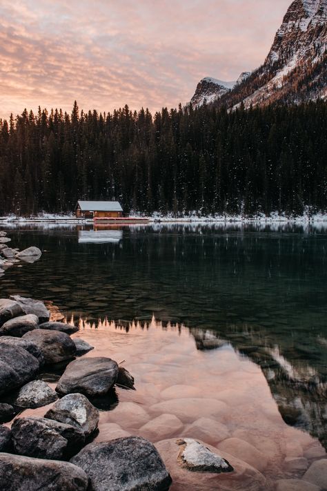 Download this photo by Ian Keefe on Unsplash Forest Wallpaper Iphone, Tree Wallpaper Iphone, Magical Sky, Winter Iphone, Iphone Wallpaper Winter, Best Nature Wallpapers, Zero Wallpaper, Mountain Wallpaper, Forest Wallpaper