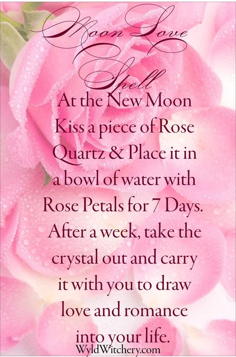 New Moon Love Spell #LoveSpell #Wicca #Wiccan #Pagan #Witchcraft #ValentinesDay Grimoire Spells, Catholic Witch, Wicca Love Spell, Witchcraft Love Spells, Spelling Online, Magical Spells, Real Love Spells, Easy Love Spells, Moon Magick