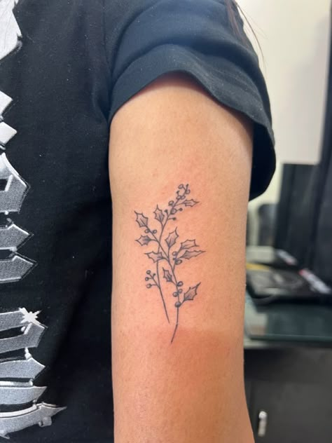 December Symbols Tattoo, Holly Fine Line Tattoo, December Holly Flower Tattoo, Rose And Holly Tattoo, Holly Sprig Tattoo, Holly Tatoos, December Birth Month Tattoo, Holly Berry Tattoo Simple, Holly Vine Tattoo