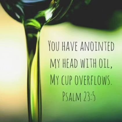 Psalm 23:5-6, Psalm 23 5, Psalms 23, Virgo Woman, Apostles Creed, Anointing Oil, Spirit Of Truth, Gods Love Quotes, Healing Scriptures