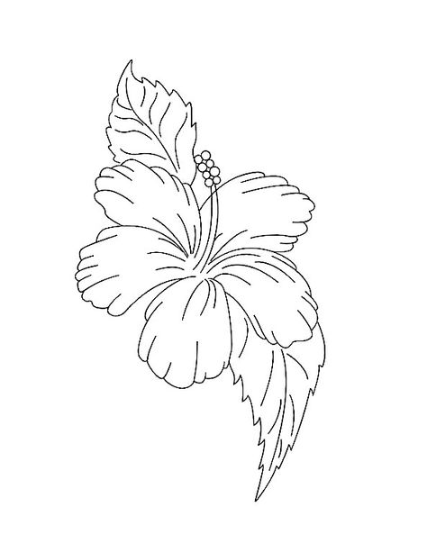 Hibiscus Tattoo Outline, Large Doodles, Frangipani Tattoo, Celtic Tattoo For Women, Hibiscus Drawing, Hawaii Tattoo, Hibiscus Flower Drawing, Tree Frog Tattoos, Hawaii Tattoos