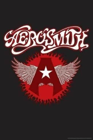 Aerosmith Poster, Aero Smith, Kiss Artwork, Jimi Hendrix Poster, Tyler Aerosmith, Steven Tyler Aerosmith, Rock N Roll Art, Heavy Metal Art, Heavy Metal Rock