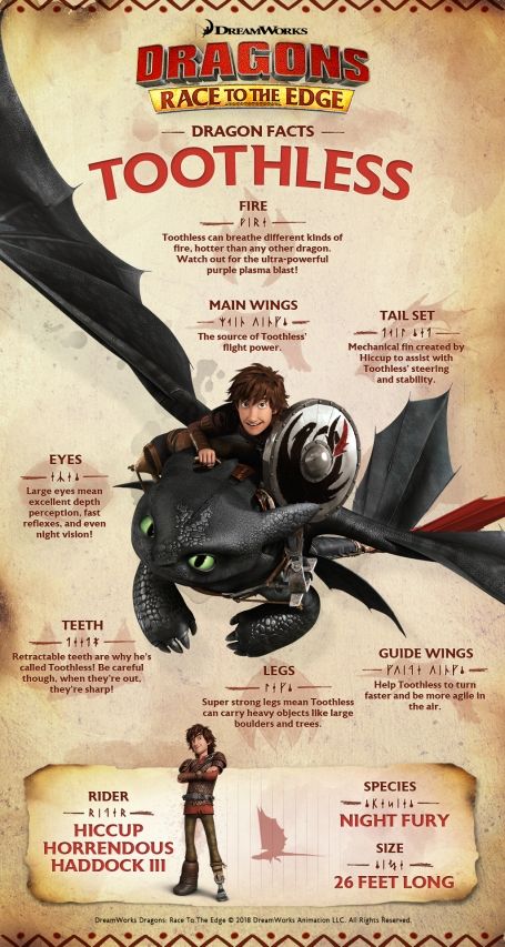 How To Train Your Dragon Names, How To Train Your Dragon Writing, Book Of Dragons Httyd, Httyd Book Of Dragons Pages, Httyd Dragons Species List, Hicks Und Astrid, Dragon Facts, Libro Gravity Falls, Dragons Riders Of Berk