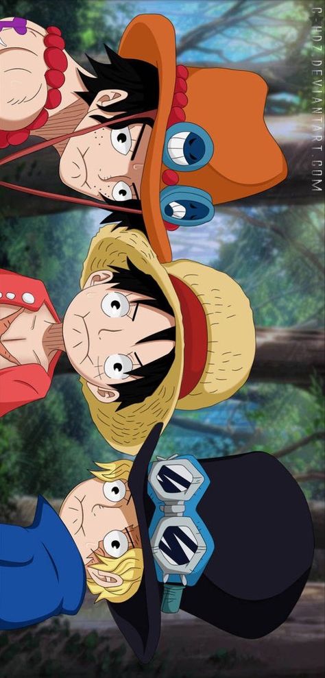 One Piece New World, Luffy Ace, Ace One Piece, Susanoo Naruto, Sabo One Piece, Ace Sabo Luffy, One Piece Photos, Ace And Luffy, One Piece Crew