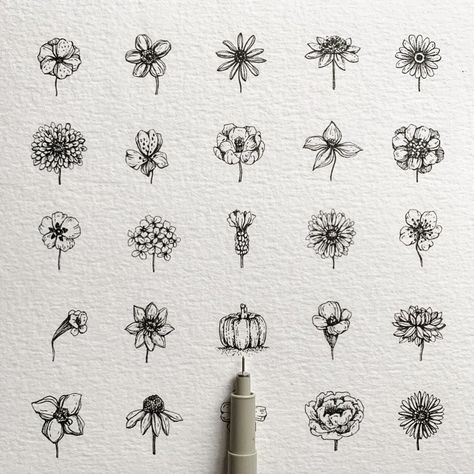 Alice on Instagram: “▫️ 24 flowers + 1 ▫️ . 24 tiny flowers + 1: discover the outsider🖤 . A little clue: 🖊 🎃 . Slide for more: the flowers’ name, some closeup,…” Micron Pen Art, Bullet Art, Botanical Line Drawing, Pen Art Drawings, Unique Drawings, Floral Drawing, A Pen, Botanical Drawings, Ink Pen